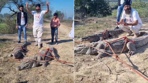Diver from a Haryana village who retrieves crocodiles