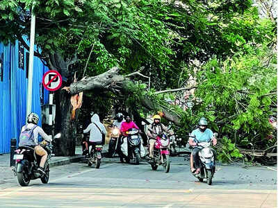 Brr! Bengaluru is shivering