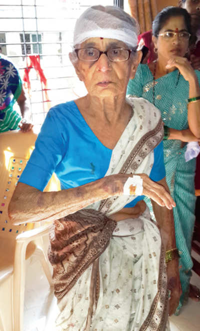 Palghar grandma fights off robber, injures him