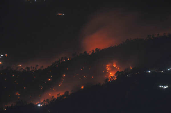 Forest fires highest in five years in Himalayan foothills