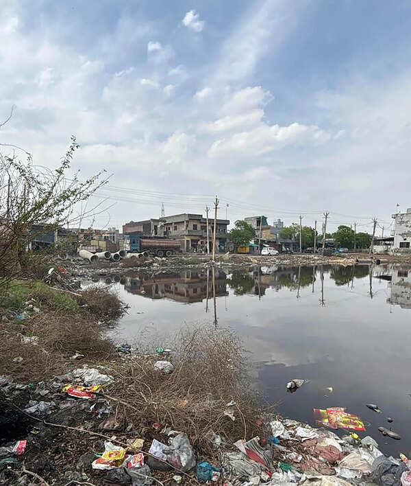 NGT forms joint panel to probe violation claims against Faridabad electroplating units, waste treatment plant