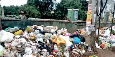 Garbage problem at Tin Factory Road