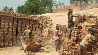 Moradabad: Work resumes in brick kilns, labourers express happiness 