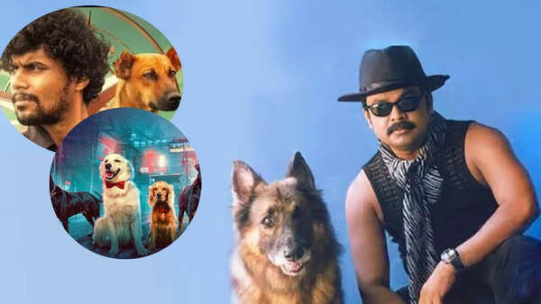From 'CID Moosa' to 'Eko': Stories told through paws and wings