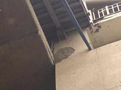 Woman dies after a piece of slab from Hyderabad Metro rail station falls on her head