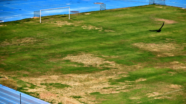 Ground not in best shape, but CFC home games at JLN  Stadium are on