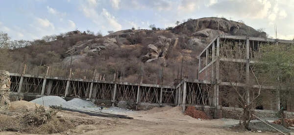 HC curb on Jawai constructions, tourism licences sparks livelihood fears