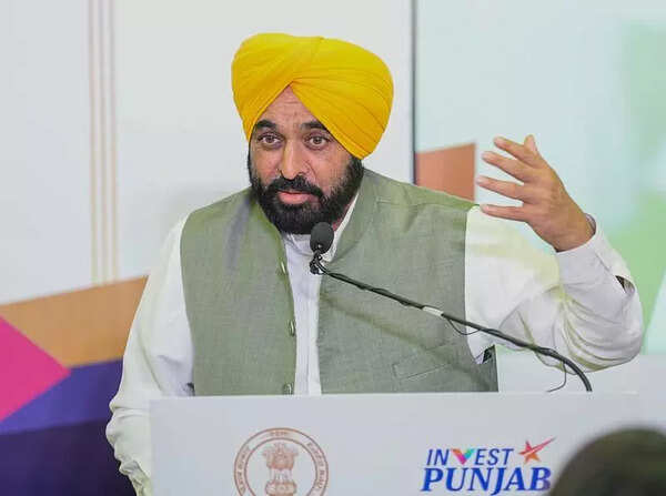 Punjab investors’ summit highly successful, says Mann