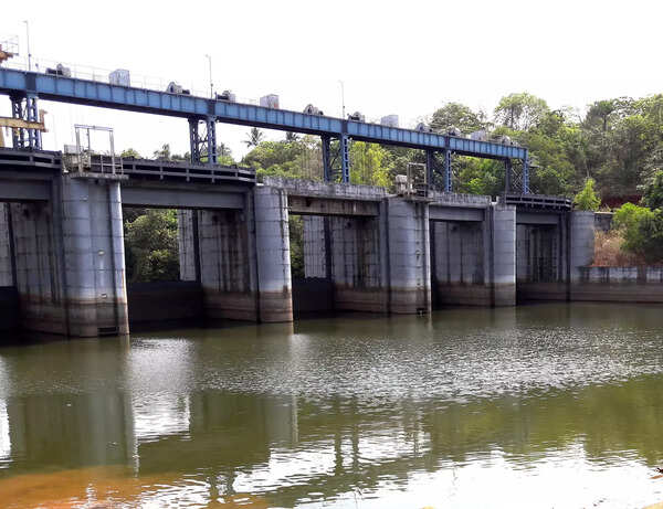 Sufficient drinking water in storage for Tiswadi and Ponda till June: PWD