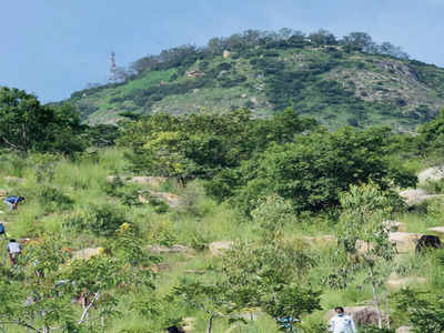 Nandi Hills open on weekends