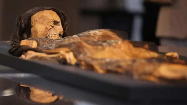 The woman buried with gold, tattoos and weapons may have been a ruler in ancient Peru: A 1,500-year-old mystery buried for centuries