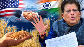 &lsquo;Few Political Elements Trying To Distort&rsquo;: Goyal Explains India-US Trade Deal, Slams Opposition
