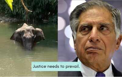 Ratan Tata condemns elephant killing in Kerala; says 'Justice needs to prevail'