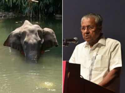 Kerala Elephant Death: CM Pinarayi Vijayan promises strict action against culprits, says three suspects in focus