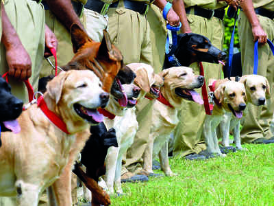 Tap the chatter question: Where Bengalureans speak their mind