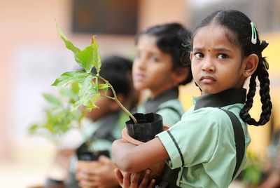 Maharashtra to plant 50 crore sapling over next three years