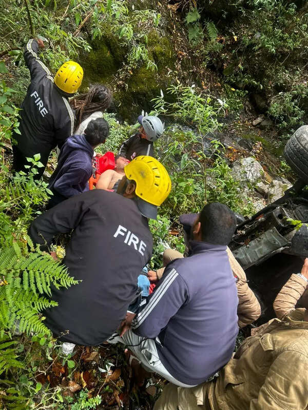SUV plunges into deep gorge near Nainital, 1 dead