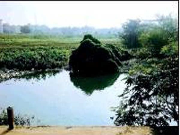 Fighting civic apathy, citizens soil their hands to revive lake