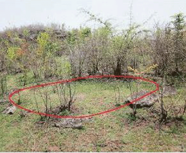 70 graves discovered at Iron-Age site in Karnataka