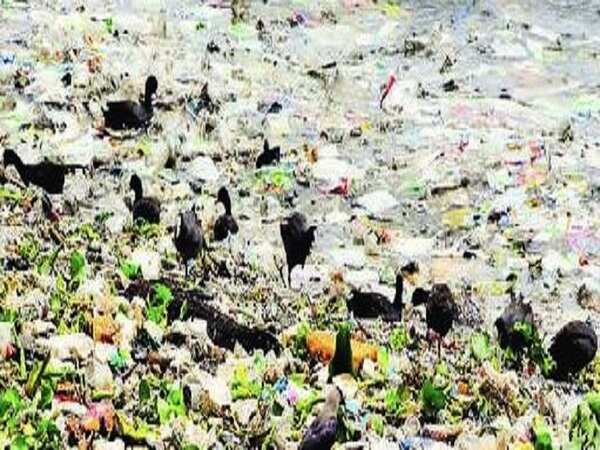 GHMC ‘plastic suffocation campaign’: Citizens get together to beat pollution