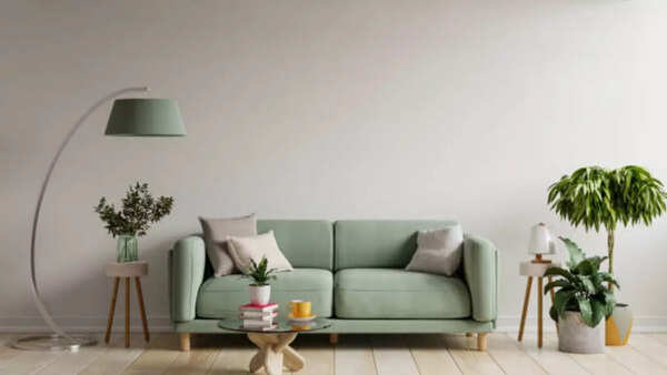 Items that bring bad luck according to Vastu