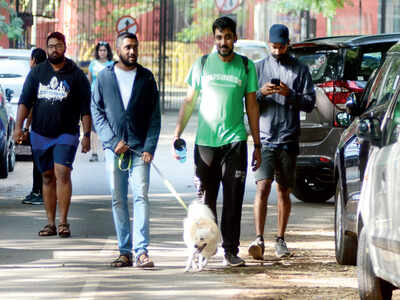 Cubbon Park getting ready to tell pet parents: Poochie poo in park? Clean up or stay out