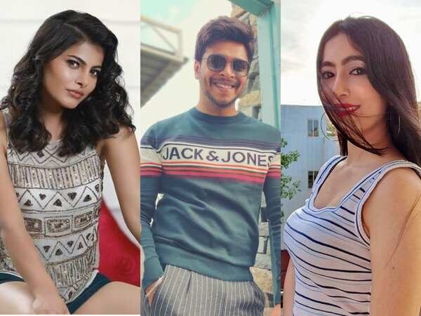 Exclusive! From Adhvithi Shetty to MG Srinivas and Pavana Gowda, Kananda celebrities react to the ban on TikTok