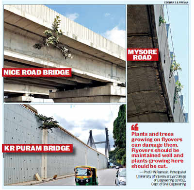 Are Bengaluru's bridges safe? Spot check reveals worrying picture