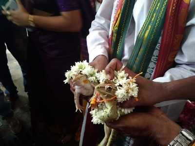 'Frog wedding' performed in Karnataka to invoke rain gods
