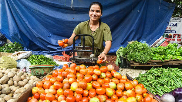 Tomatoes: Squashed by the rear view