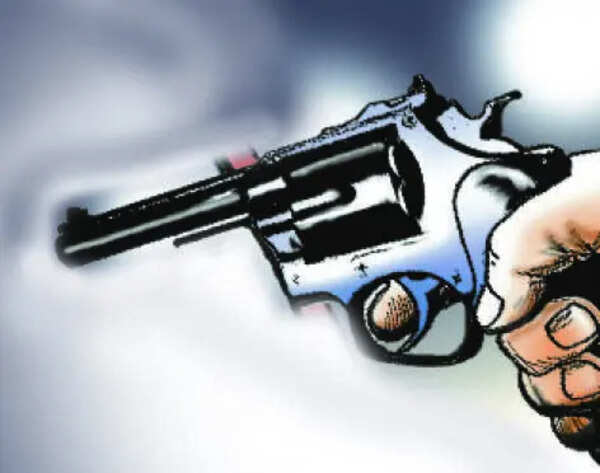 Three sell pistols & country-made firearms on Instagram, detained