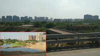 Noida Authority to create animal pass to connect green belt and biodiversity park 