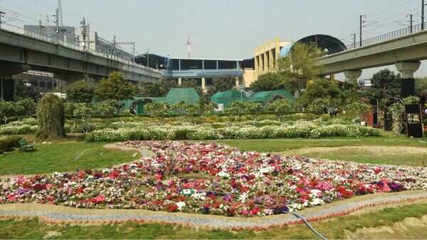 Noida's Botanical Garden set for makeover, visitor access halted temporarily