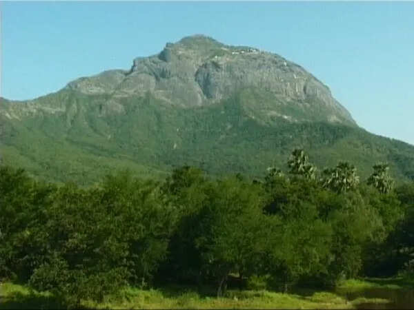 Monks seek scrapping ESZ status for Girnar sanctuary