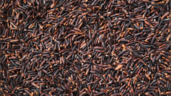 Black rice