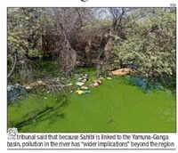 NGT adds Ganga mission to Sahibi river pollution probe