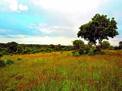 Hesaraghatta grassland gets new official name