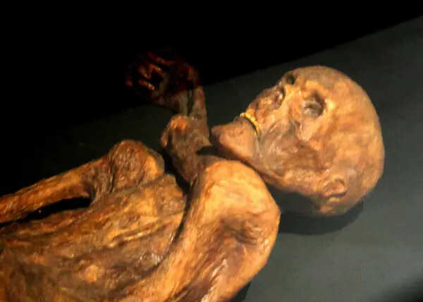 In 1991, two hikers taking a mountain shortcut spotted a dark shape in the ice and found a 5,300-year-old traveller
