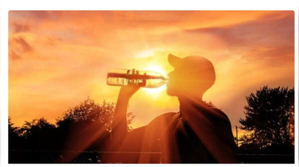 Eat Light