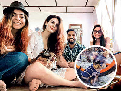 Finally, a 'summer' vacation for Alaya F, Fatima Sana Shaikh, Karan Johar