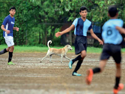 MSSA Div-II league: Juhu’s Utpal Sanghvi School eke out 2-0 win over Sacred Heart Boys’ School
