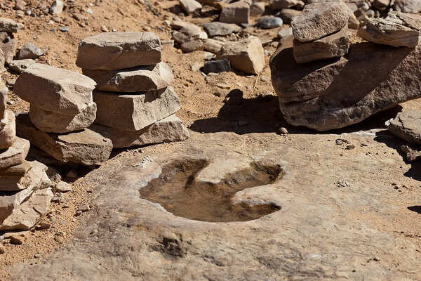 In 2021, a 4-year-old girl walking on a beach spotted a mark in a rock that turned out to be a dinosaur footprint