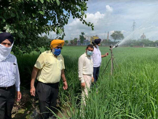 Punjab: Rain gun being used to irrigate paddy fields helps save 50% water in Sangrur