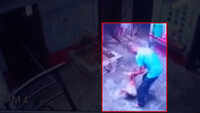 Caught on cam: Neighbour brutally thrashes 2-year-old child in Hisar 