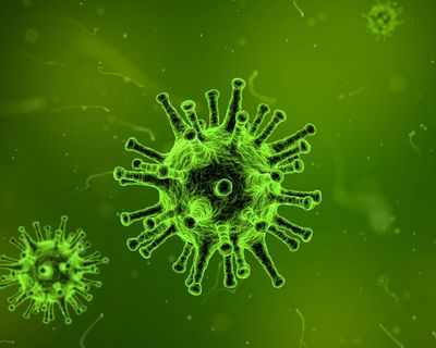 Man gets coronavirus from son who returned from Delhi, dies