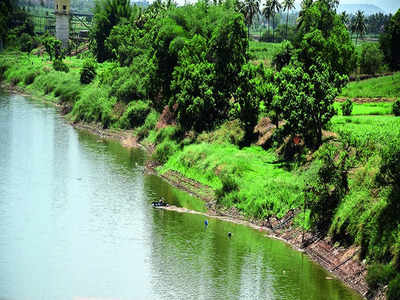 Pollution hotspots rise in Karnataka’s rivers