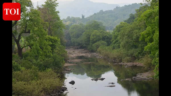 Bhimgad eco-zone measures boost Mhadei water flow