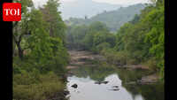 Bhimgad eco-zone measures boost Mhadei water flow