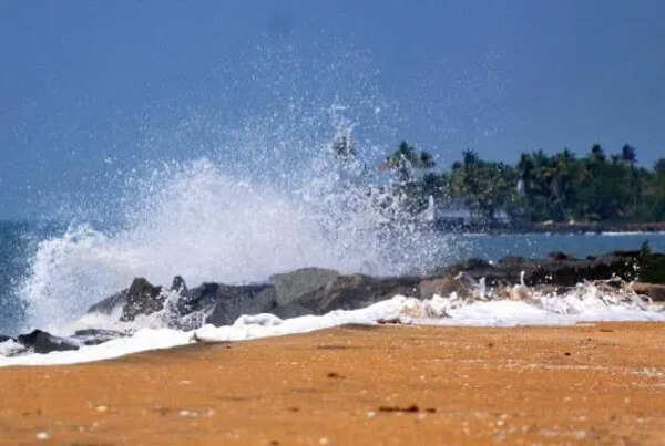 Marine heatwaves becoming more intense, frequent in Indian Ocean: Incois study
