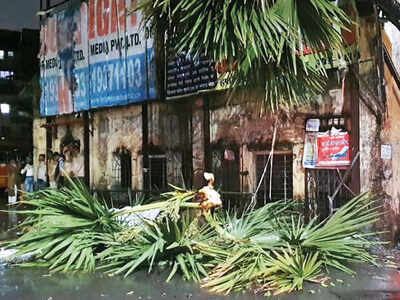 Two die after tree collapses on them near Thane station